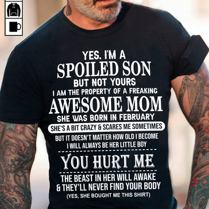 February - Awesome Mom Born In February - Special gift for Son From Mom - HNDS02 (SKU10-45-02)