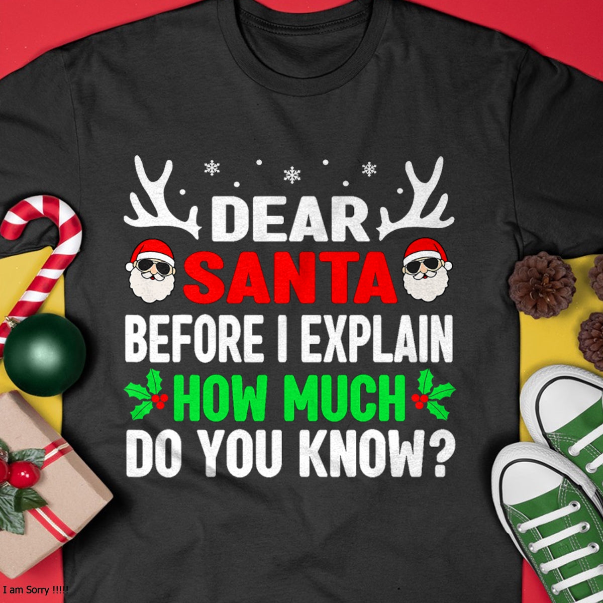 Funny Christmas Kids Adults Dear Santa I Can Explain T-Shirt - Christmas Unisex T-Shirt/Hoodie/Sweatshirt - HNDS00