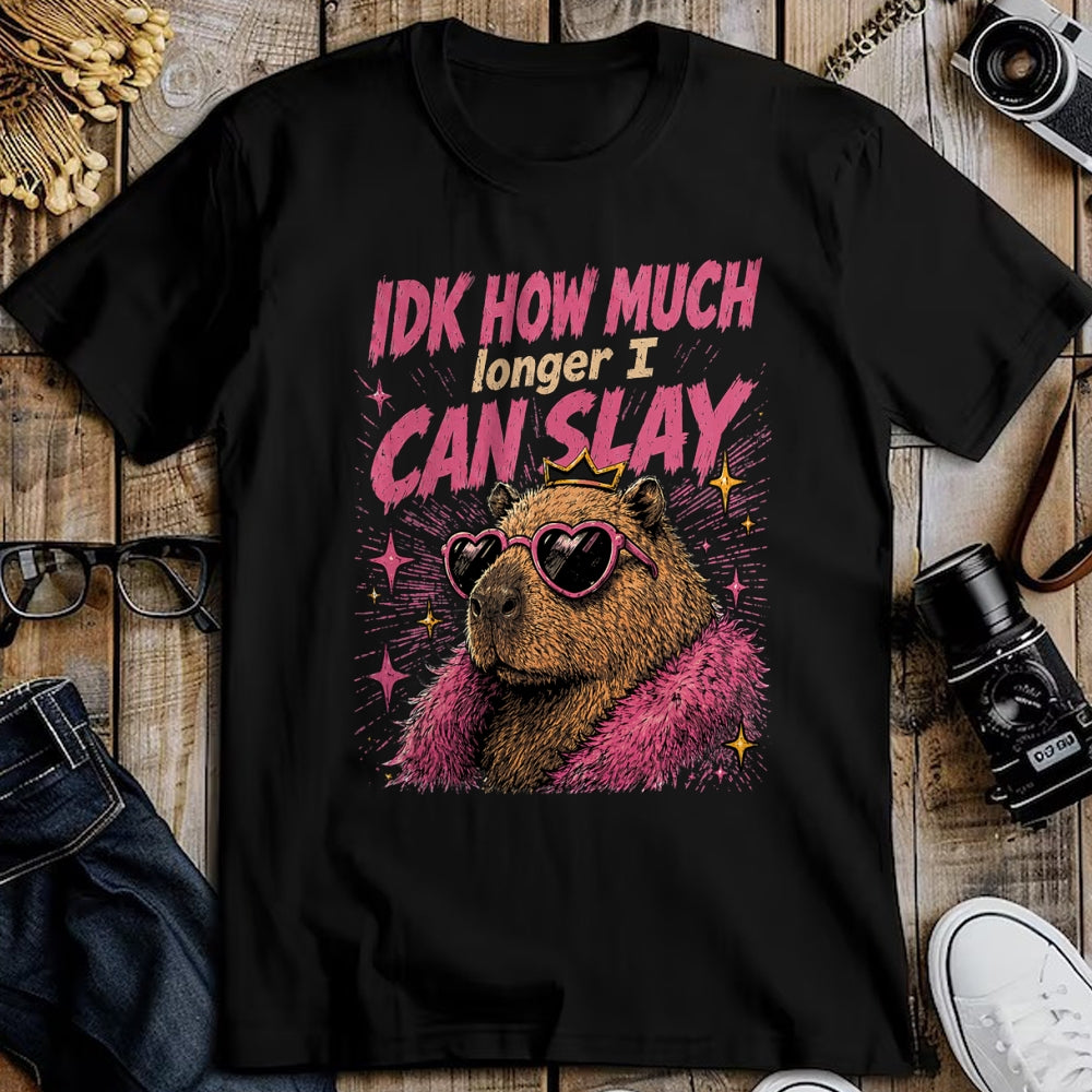 Cute Capybara Shirt, Funny Capybara Unisex T-Shirt/Hoodie/Sweatshirt HLT00 - Funny Capybara IDK How Much Longer I Can Slay Teens Meme T-Shirt
