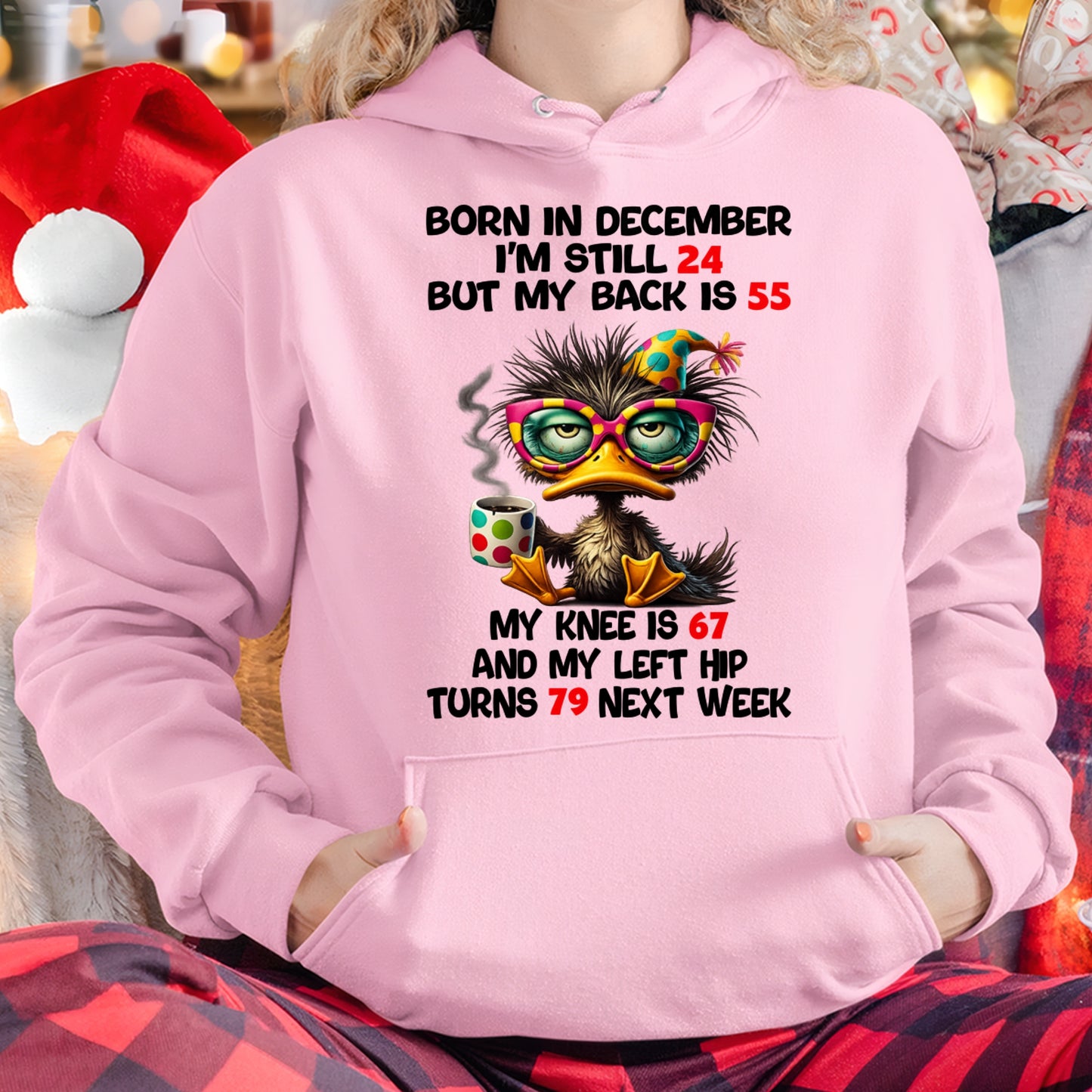 BORN IN DECEMBER - I'M STILL 24 BUT MY BACK IS 55 FUNNY T-SHIRT/HOODIE/SWEATSHIRT - HNDS12