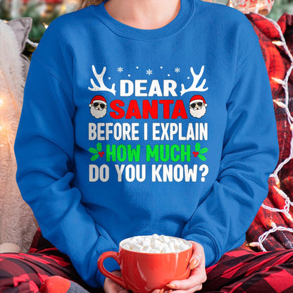 Funny Christmas Kids Adults Dear Santa I Can Explain T-Shirt - Christmas Unisex T-Shirt/Hoodie/Sweatshirt - HNDS00
