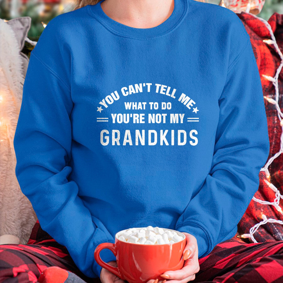 Best Grandpa Shirt, Proud Grandpa Unisex T-Shirt/Hoodie/Sweatshirt HLT00 - You Can't Tell Me What To Do You're Not My Grandkids Grandma T-Shirt