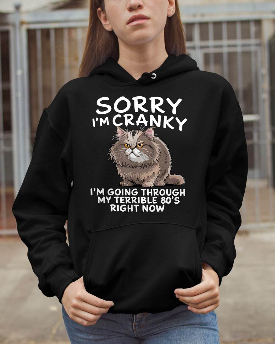 SORRY I AM CRANKY, 80'S - BIRTHDAY SHIRT FOR WOMEN - MTNN00 (SKU12-254)