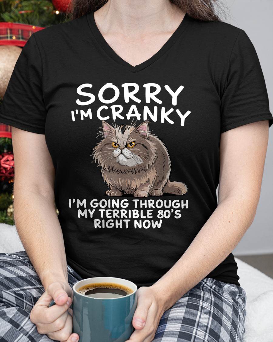 SORRY I AM CRANKY, 80'S - BIRTHDAY SHIRT FOR WOMEN - MTNN00 (SKU12-254)