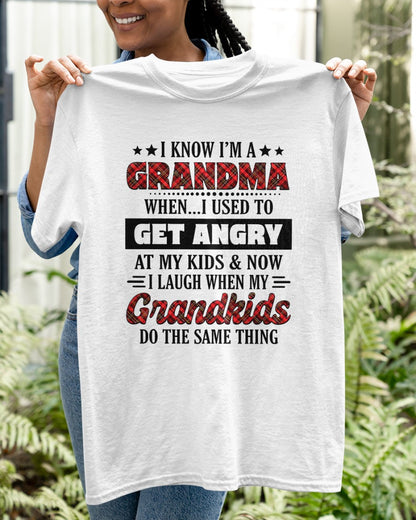KNOW I'M A GRANDMA WHEN... I USED TO GET ANGRY AT MY KIDS & NOW I LAUGH WHEN MY GRANDKIDS DO THE SAME THING - from grandma HNDS00 (SKU07-111)