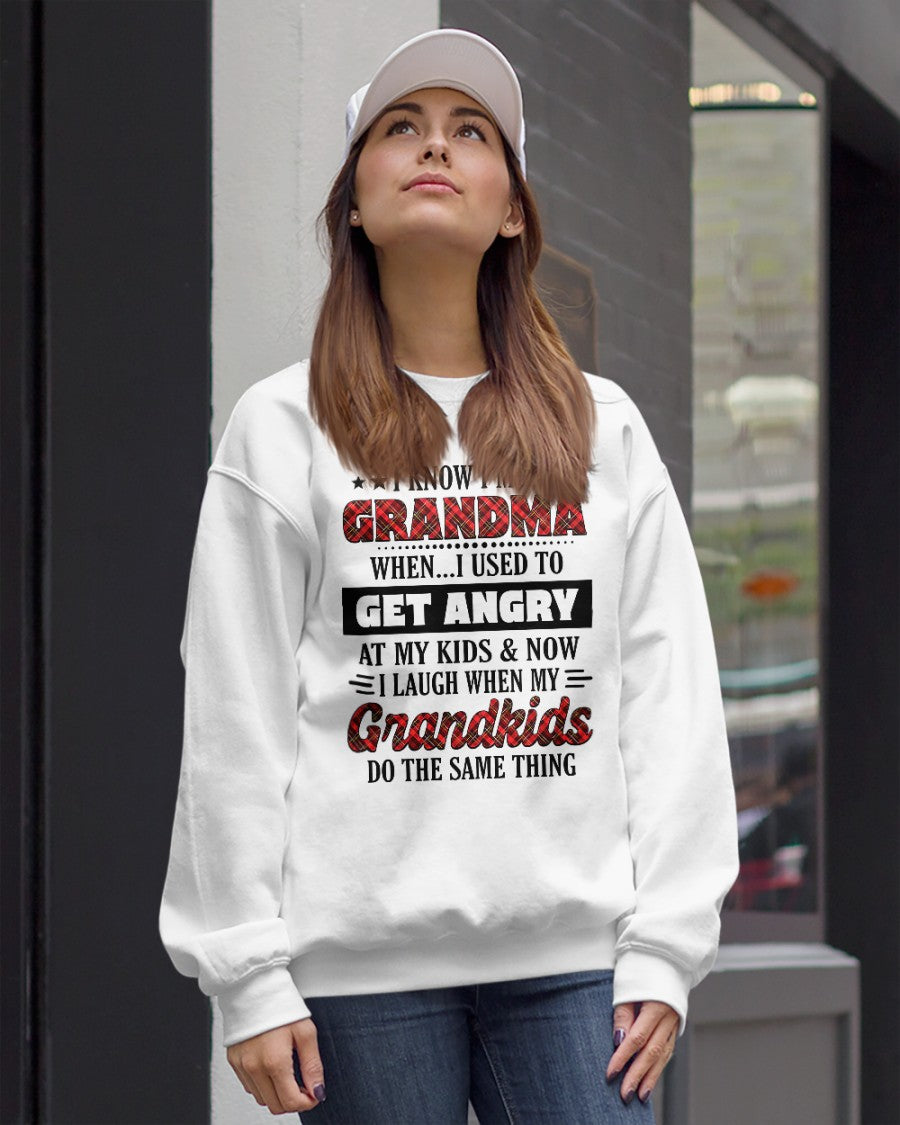 KNOW I'M A GRANDMA WHEN... I USED TO GET ANGRY AT MY KIDS & NOW I LAUGH WHEN MY GRANDKIDS DO THE SAME THING - from grandma HNDS00 (SKU07-111)